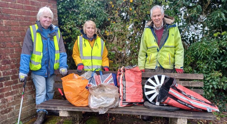 Litter Pick